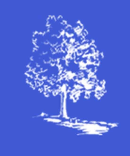 Screenshot 2020-04-01 00.33.02